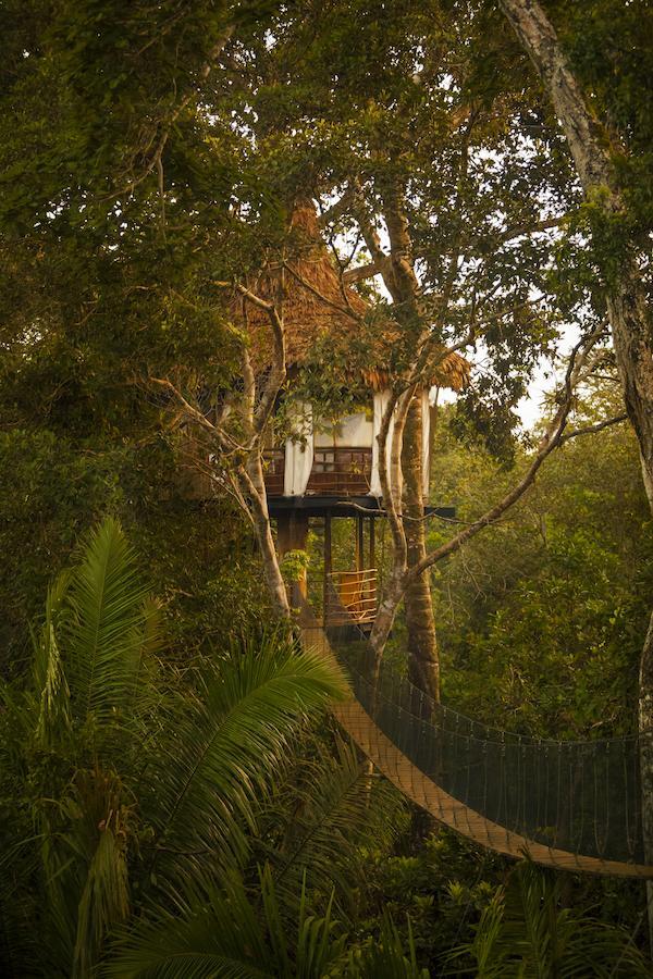 Treehouse Lodge Yucuruche Exterior foto