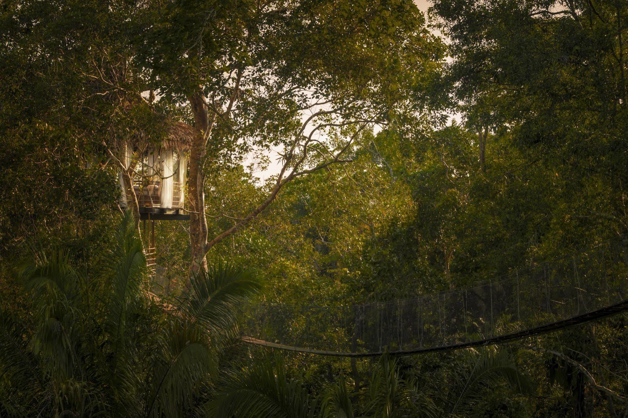 Treehouse Lodge Yucuruche Exterior foto